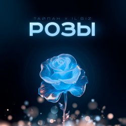 Обложка Тайпан feat. IL'GIZ - Розы