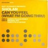 Matt Schwartz pres. Sholan - Can You Feel