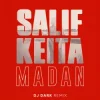Salif Keita - Madan (Dj Dark Remix)