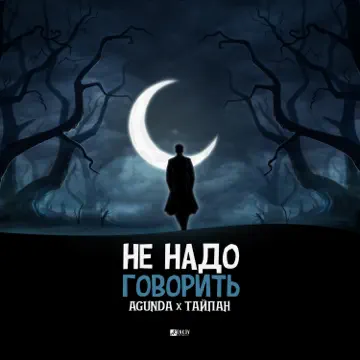 Обложка Agunda feat. Тайпан - Не Надо Говорить