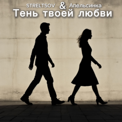 Cover STRELTSOV & Апельсинка - Тень твоей любви