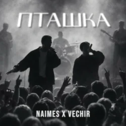 Обложка NAIMES & VECHIR - пташка