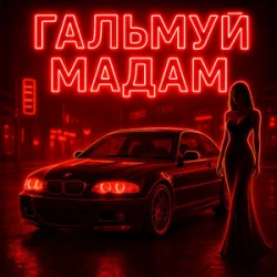 Обложка Fartovyy - Гальмуй мадам