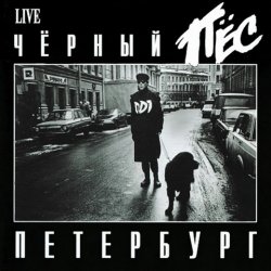 Обложка ДДТ - Чёрный пёс Петербург