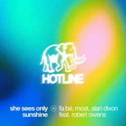 Обложка fa bé & mOat & Alan Dixon & Robert Owens - She Sees Only Sunshine