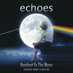 Обложка Echoes - Shine on you crazy diamond