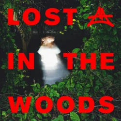 Обложка Elderbrook & Adriatique - Lost In The Woods