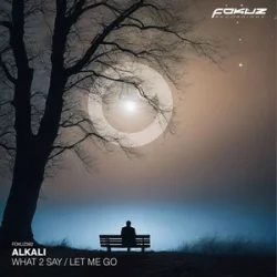 Обложка Alkali. - What 2 Say