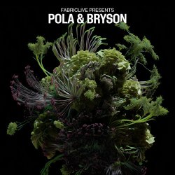 Обложка Pola & Bryson - Decay (Mixed)