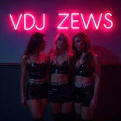 Обложка VDJ ZEWS - Random Feelings