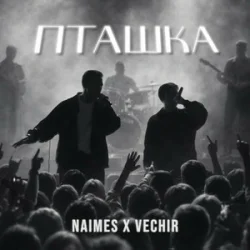 Обложка NAIMES & VECHIR - пташка (KARMV REMIX)