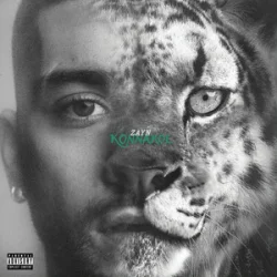Обложка ZAYN - Die For Me