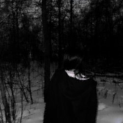 Обложка DarkRezet - nightshade