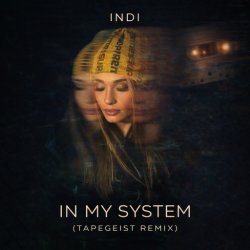 Обложка INDI - In My System