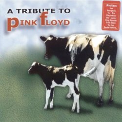 Обложка Steve Lukather, Marco Mendoza, Vinnie Colaiuta - Shine On You Crazy Daimond