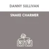 Danny Sullivan - Shake Charmer