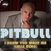 Pitbull - I Know You Want Me