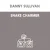 封面 Danny Sullivan - Shake Charmer