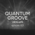 Обложка Vexlum - Quantum Groove 021
