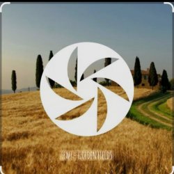 Обложка FEWZ - Golden Fields