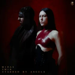 Обложка YMIR & Stabbed By Angels - Midas