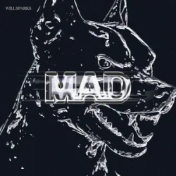 封面 Will Sparks - Mad