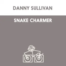 Обложка Danny Sullivan - Shake Charmer