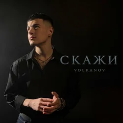 Обложка VOLKANOV - СКАЖИ (KARMV REMIX)
