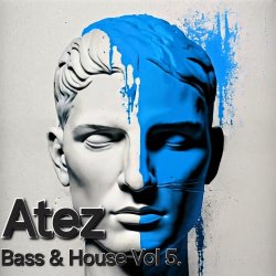Обложка Atez - Bass House Vol5.