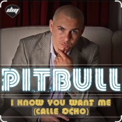Обложка Pitbull - I Know You Want Me