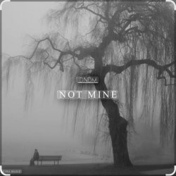 Обложка DNDM - Not Mine (Extended)