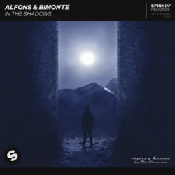 Обложка Alfons & BIMONTE - In the shadows