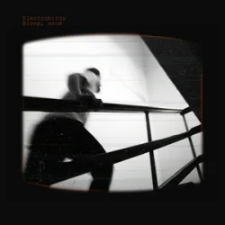 Обложка Electrobirds - Вітер, неси