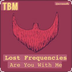 Обложка Lost Frequencies - Are You With Me