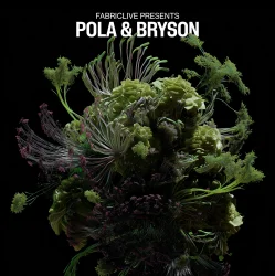 Обложка Pola & Bryson - Insomnia (Mixed)