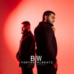 Обложка BW & FORTROYALBEATZ - Тень