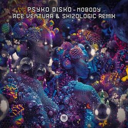 Обложка Psyko Disko - Nobody (Ace Ventura & Skizologic Remix)