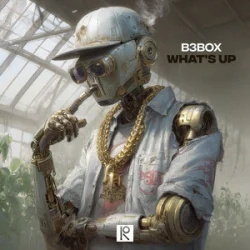 Обложка B3BOX - Whats Up