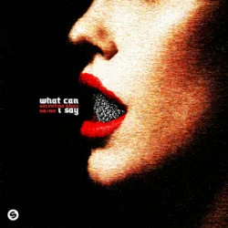 Обложка Valentino Khan & No/Me - What Can I Say