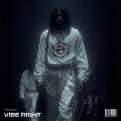 Обложка Stadiumx - Vibe Right