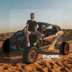 Обложка Boris Brejcha - Engine