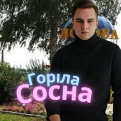 Обложка Friends in Kharkiv - Горіла сосна