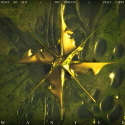 Обложка What So Not & The Upbeats - Wanted