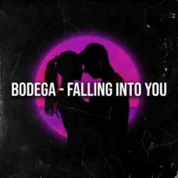 Обложка Bodega - Falling Into You