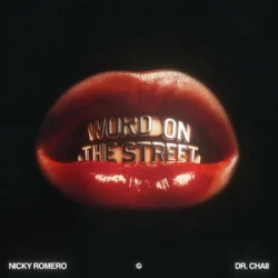 Обложка Nicky Romero & Dr. Chaii - Word On The Street