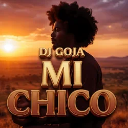 Обложка Dj Goja - Mi Chico