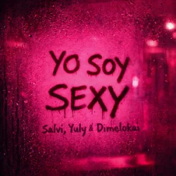 Обложка Salvi & Yuly & Dimelokai - Yo Soy Sexy