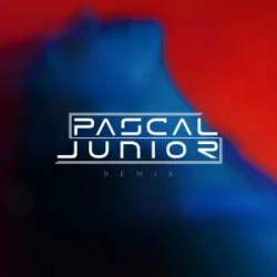 Обложка Pascal Junior & Papa Jr. - Ploaia (Remix)