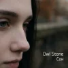Owl Stone - Сон