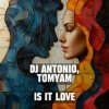 Dj Antonio & TomYam - Is It Love
